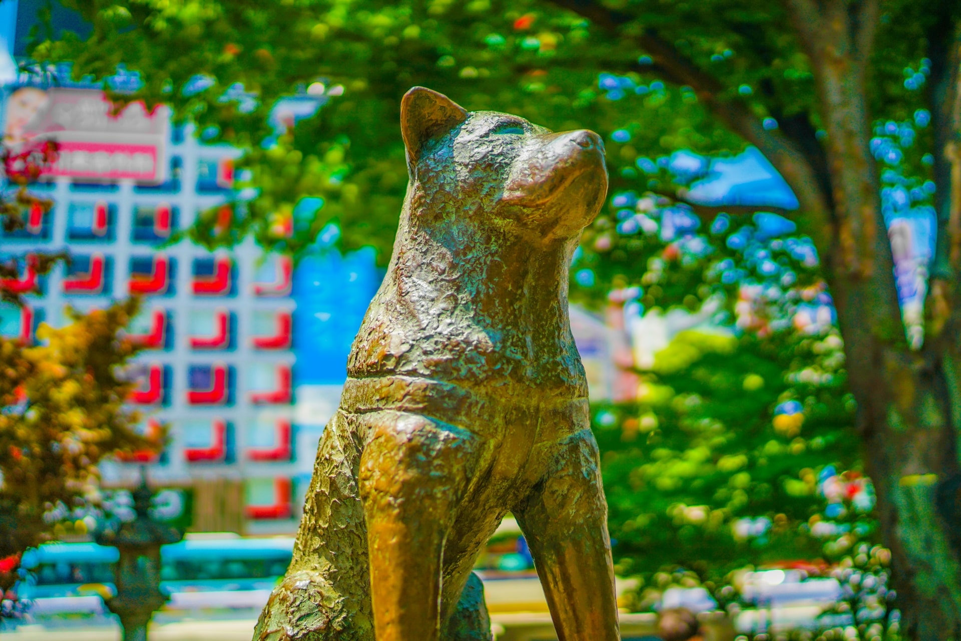 Visit Hachiko Statue