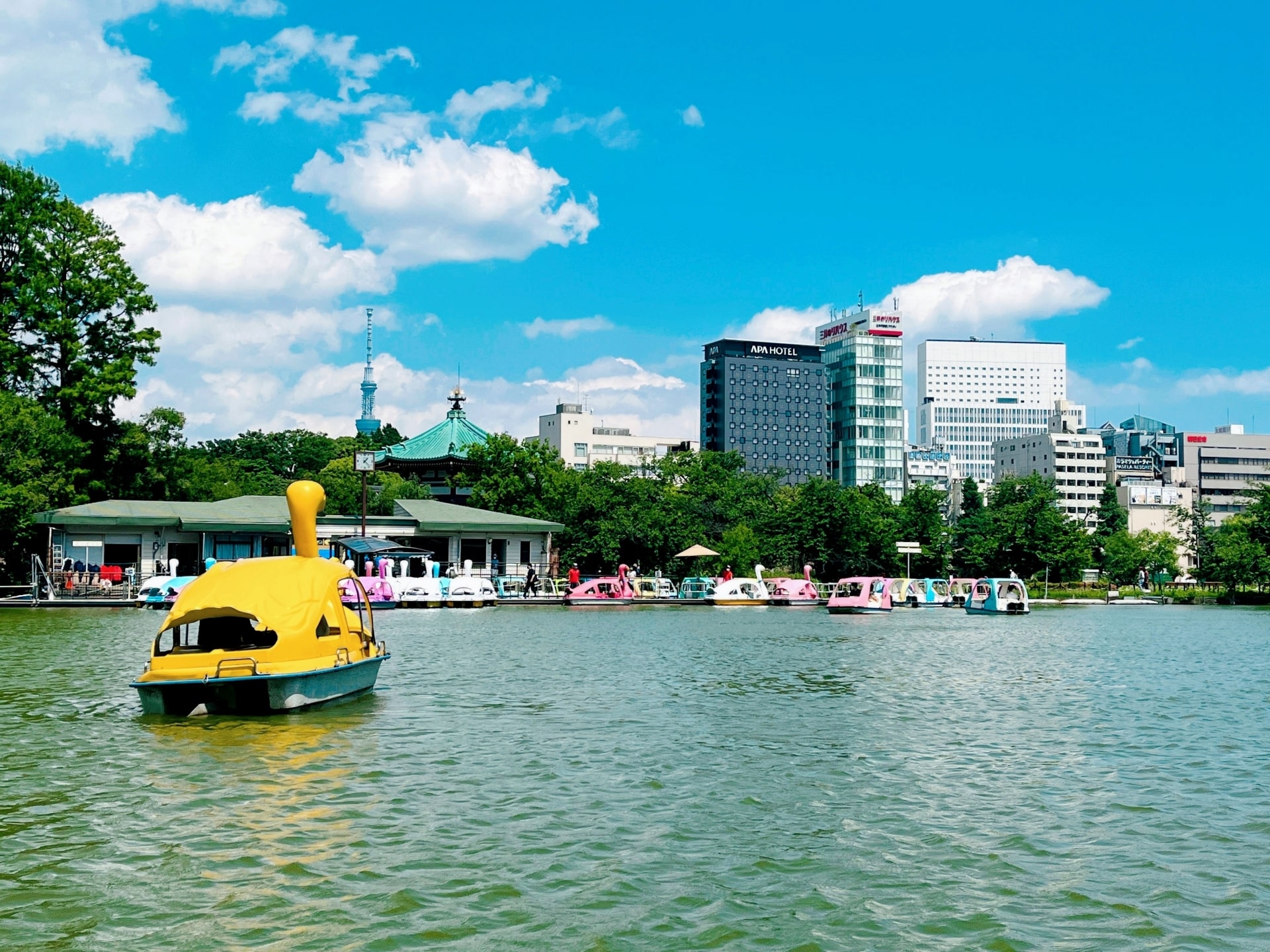 Shinobazu Pond