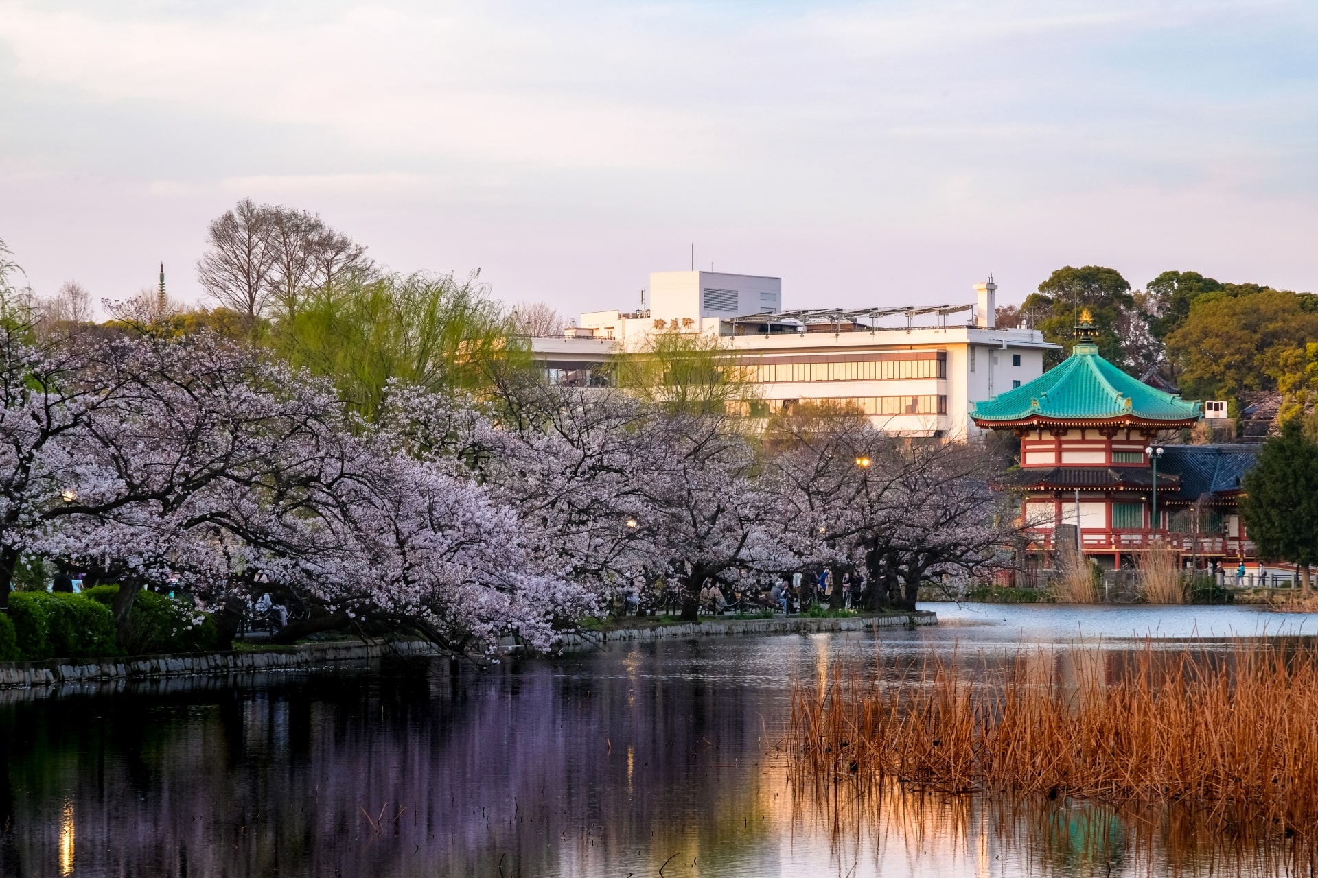 Ueno Park