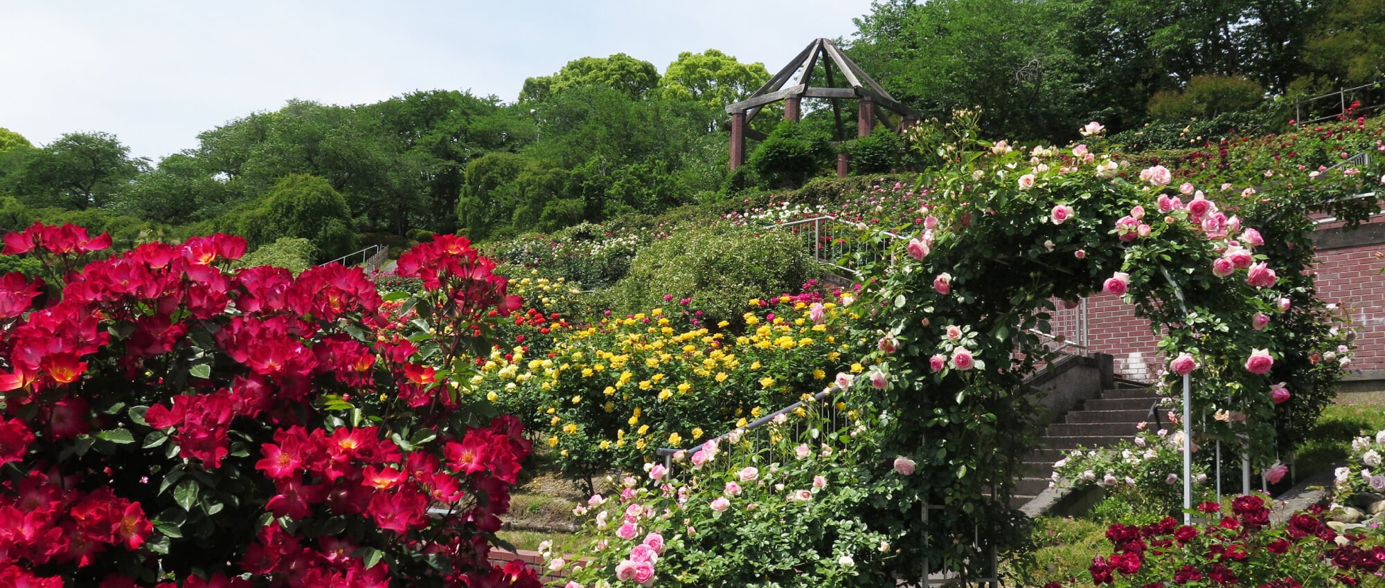 Handayama Botanical Gardens