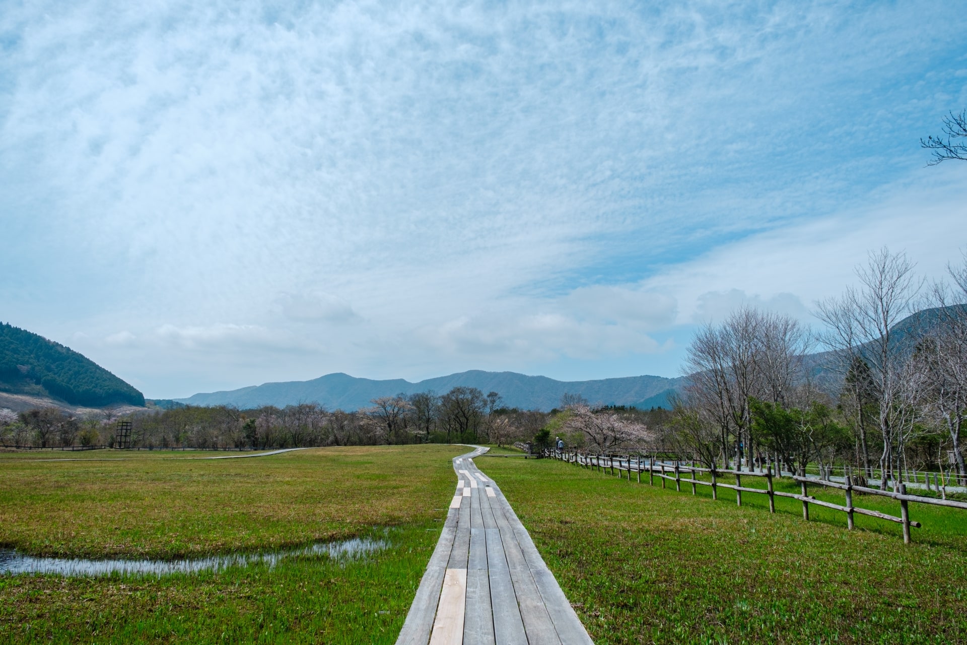 Hakone Botanical Garden of Wetlands