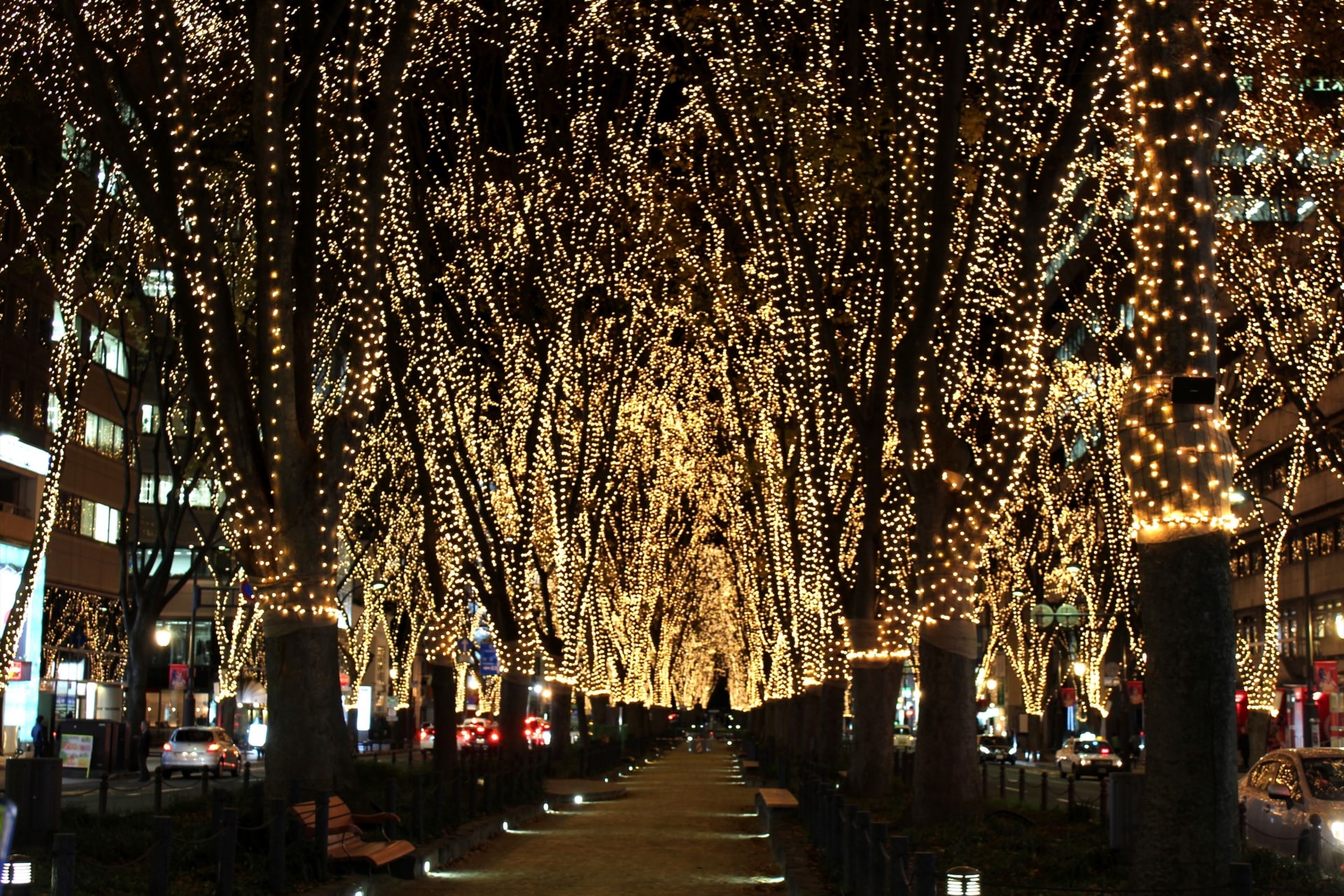 Jozenji Street