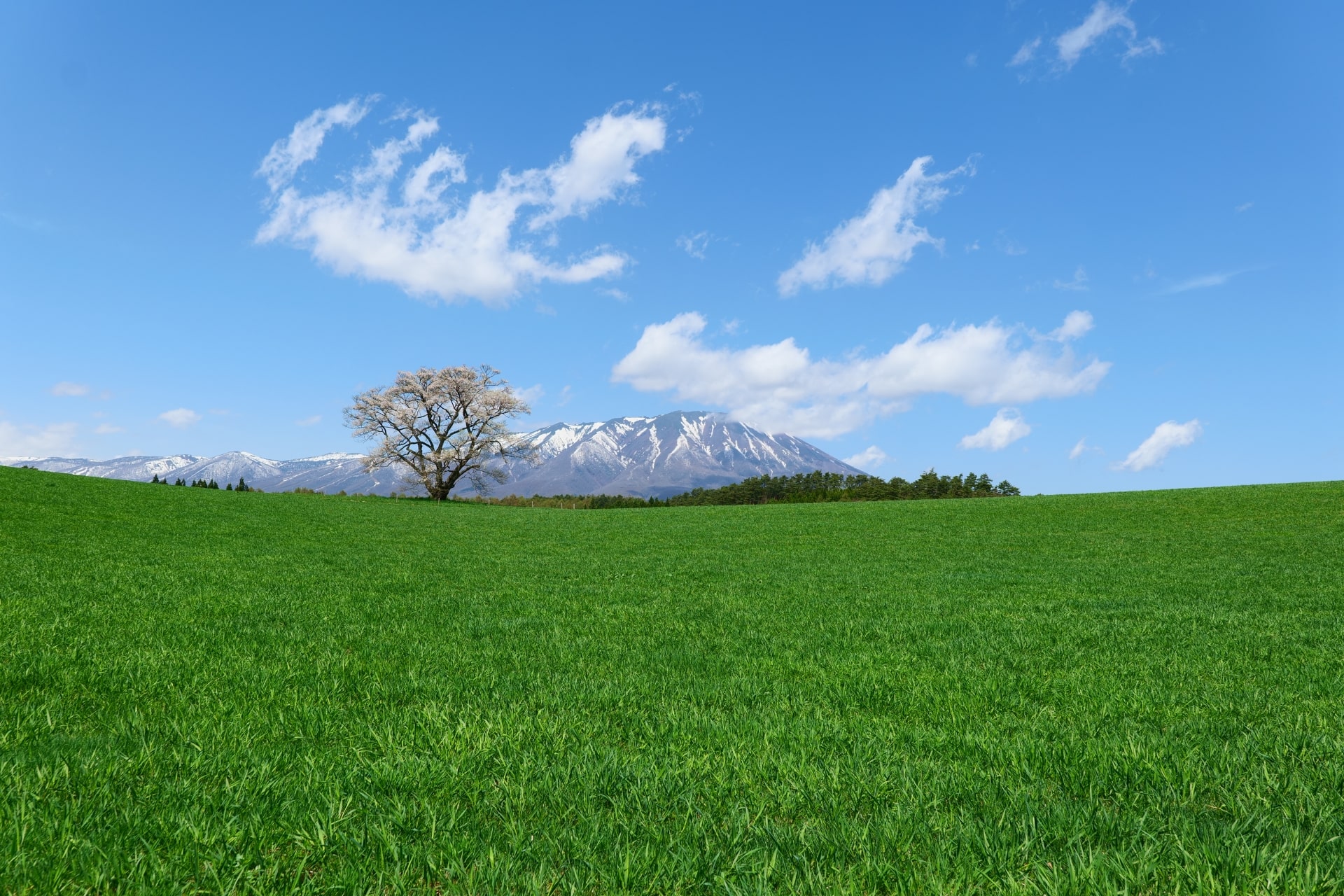 13 Best Things To Do In Iwate 2024 Traveler Japan 13 Best Things To Do In Iwate 2024 Traveler Japan