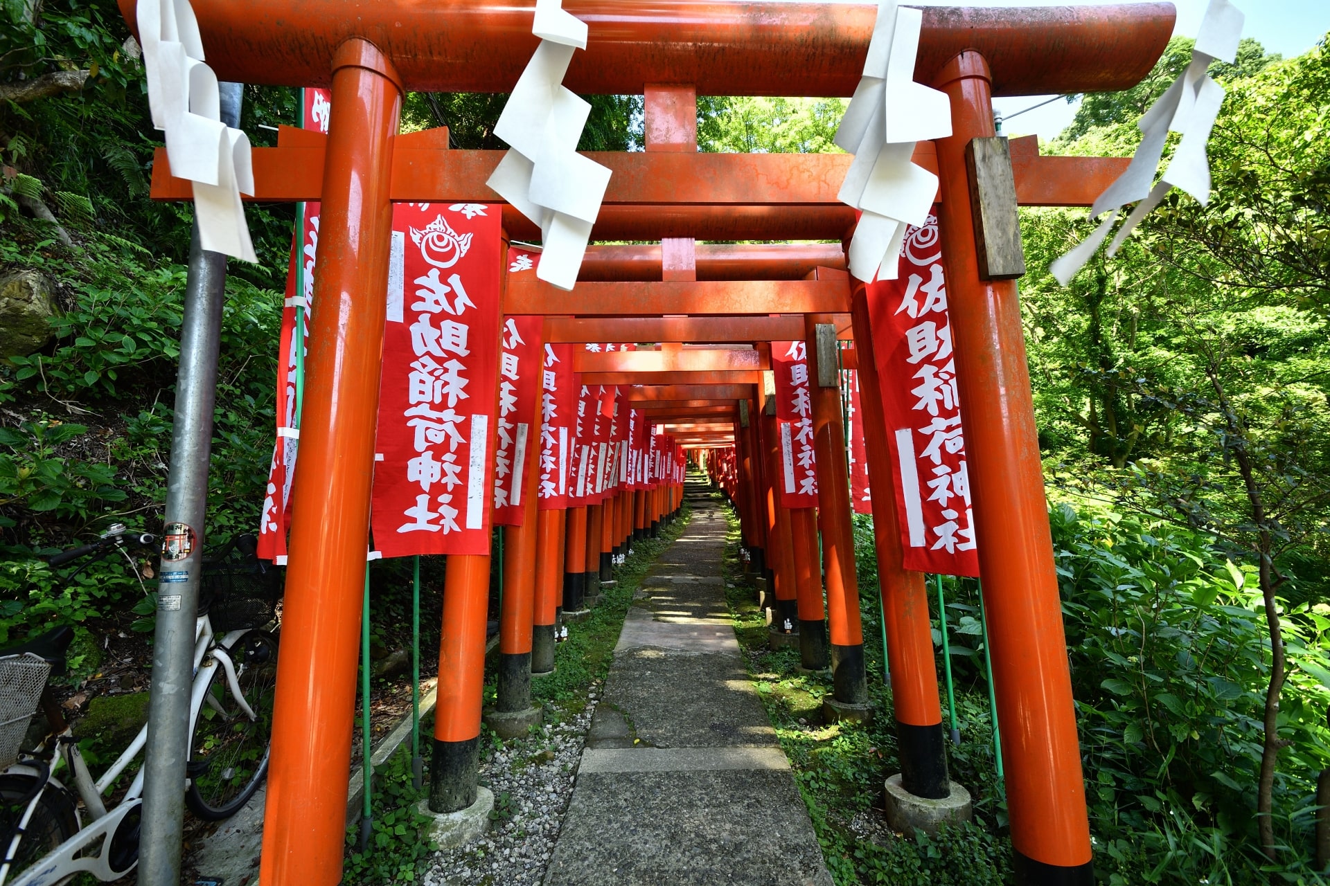 Sasuke Inari Shrine