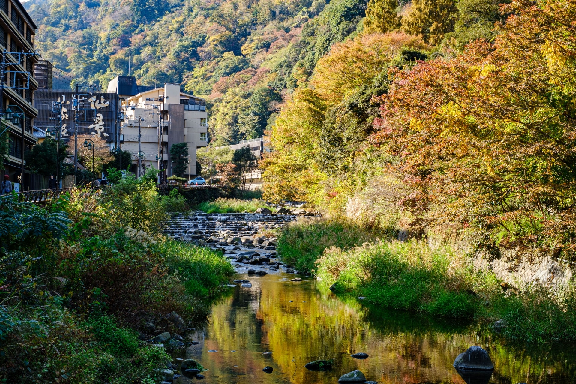 Traditional Onsen