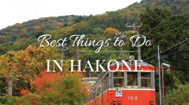 19 Best Things to Do in Hakone 2024